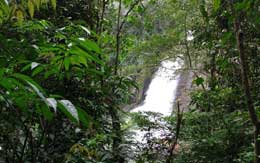 soochippara-waterfalls-wayanad