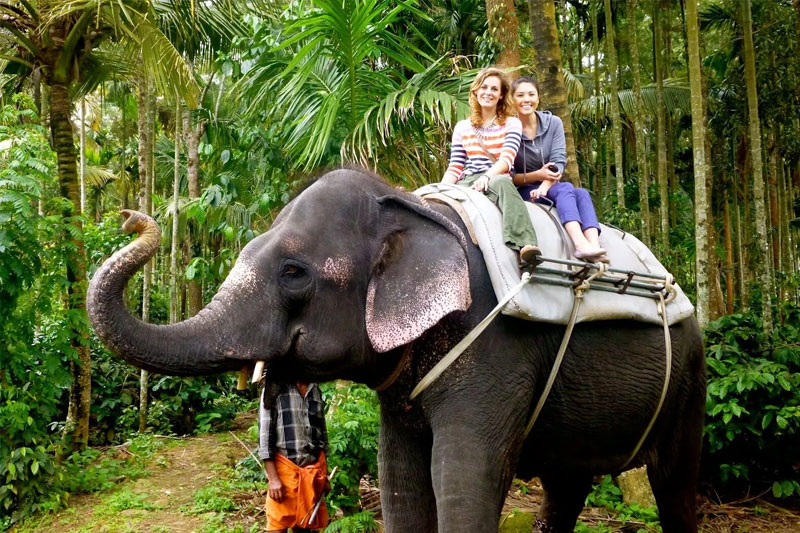 fullday-elephant-ride