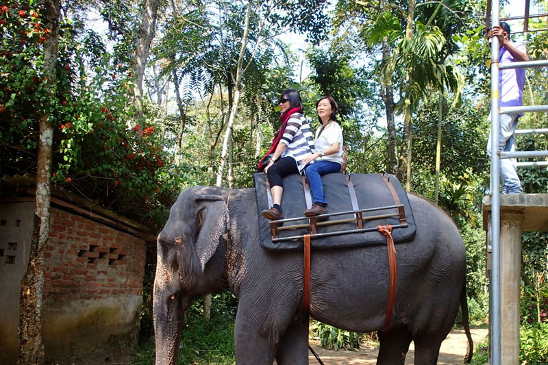 two-elephant-ride
