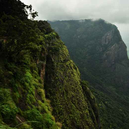 Palakkad