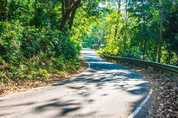 ernakulam-kerala