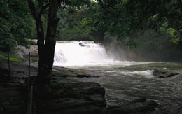 thommankuthu-waterfalls-idukki